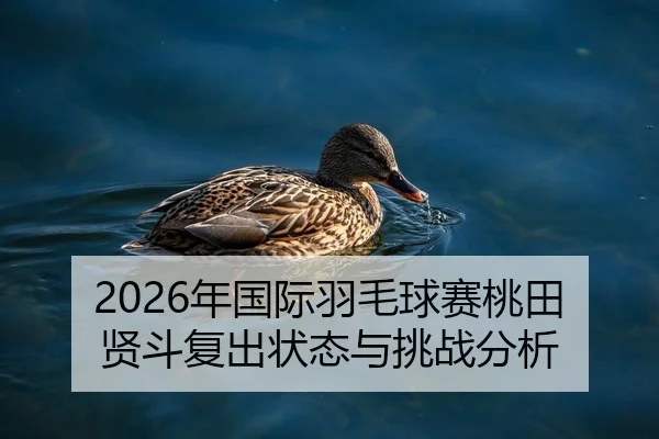 2026年国际羽毛球赛桃田贤斗复出状态与挑战分析