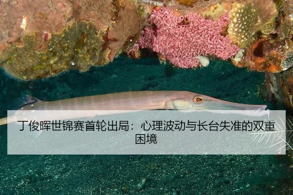 丁俊晖世锦赛首轮出局：心理波动与长台失准的双重困境